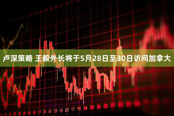 卢深策略 王毅外长将于5月28日至30日访问加拿大
